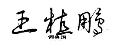 曾慶福王植鵬草書個性簽名怎么寫