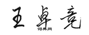 駱恆光王卓競行書個性簽名怎么寫