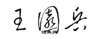 駱恆光王園兵草書個性簽名怎么寫