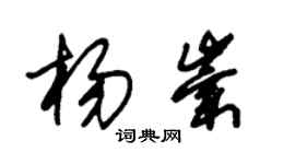 朱錫榮楊崇草書個性簽名怎么寫