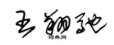 朱錫榮王翔馳草書個性簽名怎么寫