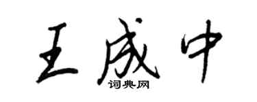 王正良王成中行書個性簽名怎么寫