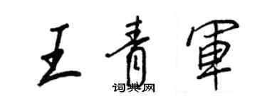 王正良王青軍行書個性簽名怎么寫