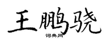 丁謙王鵬驍楷書個性簽名怎么寫