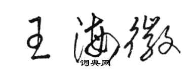 駱恆光王海徽草書個性簽名怎么寫