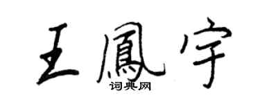 王正良王鳳宇行書個性簽名怎么寫