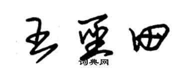 朱錫榮王聖田草書個性簽名怎么寫