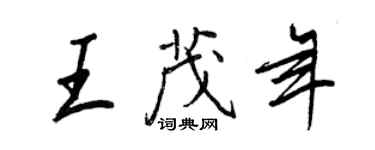 王正良王茂年行書個性簽名怎么寫