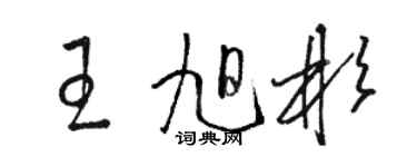 駱恆光王旭彬草書個性簽名怎么寫