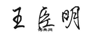 駱恆光王臣明行書個性簽名怎么寫
