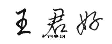 駱恆光王君好行書個性簽名怎么寫