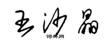 朱錫榮王沙晶草書個性簽名怎么寫