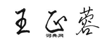 駱恆光王正蓉行書個性簽名怎么寫