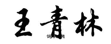 胡問遂王青林行書個性簽名怎么寫