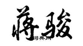 胡問遂蔣駿行書個性簽名怎么寫