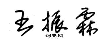 朱錫榮王振霖草書個性簽名怎么寫