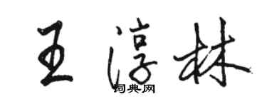 駱恆光王淳林行書個性簽名怎么寫