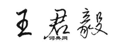 駱恆光王君毅行書個性簽名怎么寫