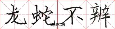 駱恆光龍蛇不辨楷書怎么寫