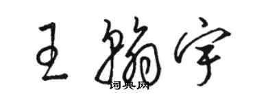 駱恆光王翰宇草書個性簽名怎么寫