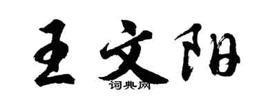 胡問遂王文陽行書個性簽名怎么寫