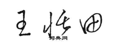 駱恆光王恬田草書個性簽名怎么寫
