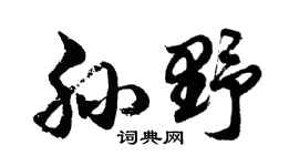 胡問遂孫野行書個性簽名怎么寫