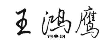 駱恆光王鴻鷹行書個性簽名怎么寫