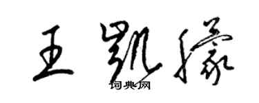 梁錦英王凱朦草書個性簽名怎么寫