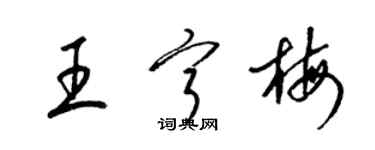 梁錦英王寧梅草書個性簽名怎么寫