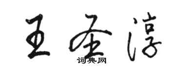 駱恆光王聖淳行書個性簽名怎么寫