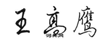 駱恆光王高鷹行書個性簽名怎么寫