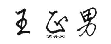 駱恆光王正男行書個性簽名怎么寫