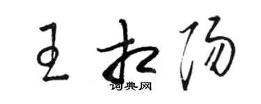 駱恆光王相陽草書個性簽名怎么寫