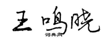 曾慶福王鳴曉行書個性簽名怎么寫
