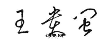 駱恆光王貴閩草書個性簽名怎么寫