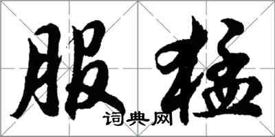 胡問遂服猛行書怎么寫