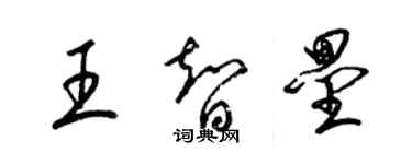 梁錦英王智壘草書個性簽名怎么寫