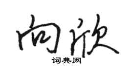 駱恆光向欣行書個性簽名怎么寫