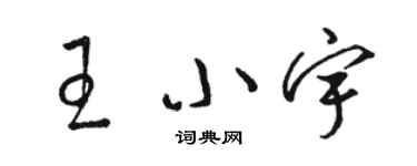 駱恆光王小宇草書個性簽名怎么寫