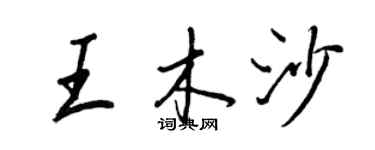 王正良王木沙行書個性簽名怎么寫