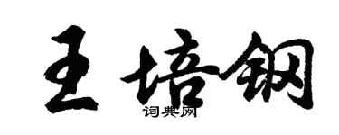 胡問遂王培鋼行書個性簽名怎么寫