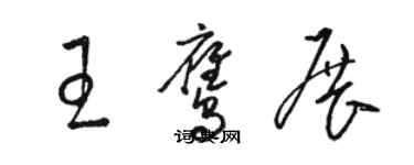 駱恆光王鷹展草書個性簽名怎么寫