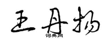 曾慶福王丹揚草書個性簽名怎么寫