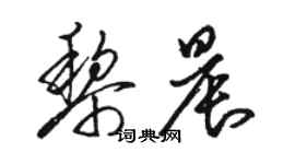 駱恆光黎晨草書個性簽名怎么寫