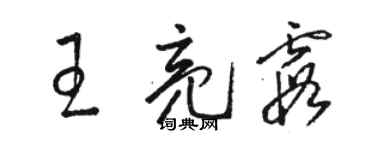 駱恆光王亮霞草書個性簽名怎么寫