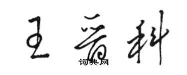 駱恆光王晉科草書個性簽名怎么寫