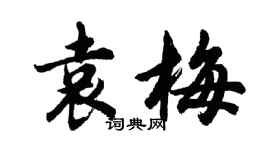胡問遂袁梅行書個性簽名怎么寫