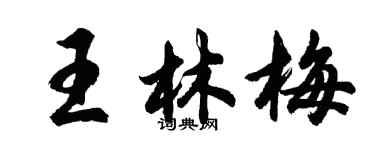 胡問遂王林梅行書個性簽名怎么寫