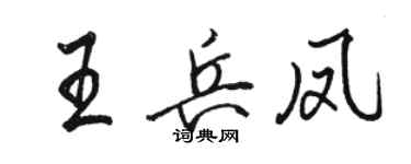 駱恆光王兵鳳行書個性簽名怎么寫